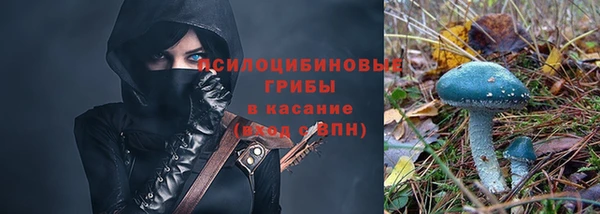 мяу мяу мука Верхнеуральск